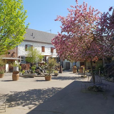 Besondere Ferienwohnung Spirit Auf Idyllischem Reiterhof Nahe Burg Eltz Munstermaifeld Экстерьер фото