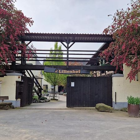 Besondere Ferienwohnung Spirit Auf Idyllischem Reiterhof Nahe Burg Eltz Munstermaifeld Экстерьер фото