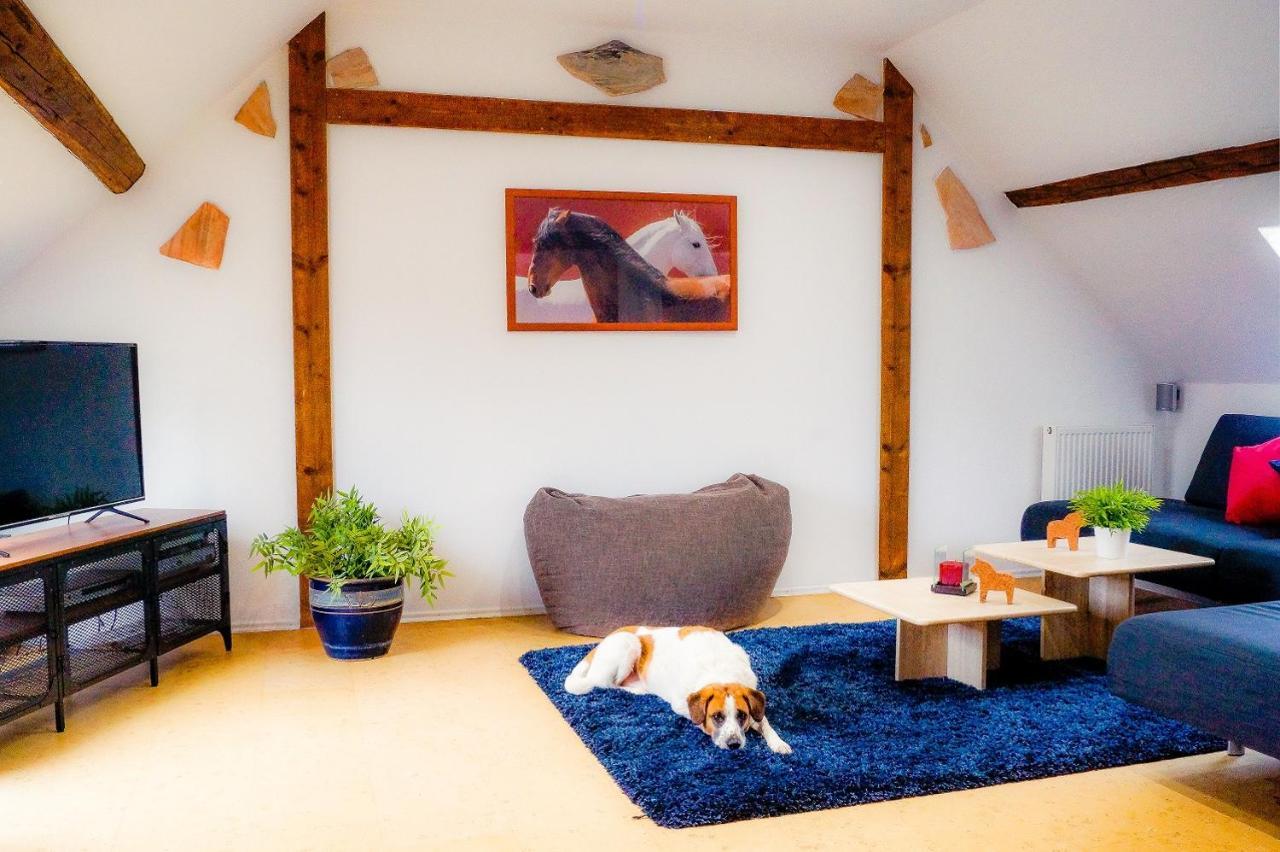 Besondere Ferienwohnung Spirit Auf Idyllischem Reiterhof Nahe Burg Eltz Munstermaifeld Экстерьер фото