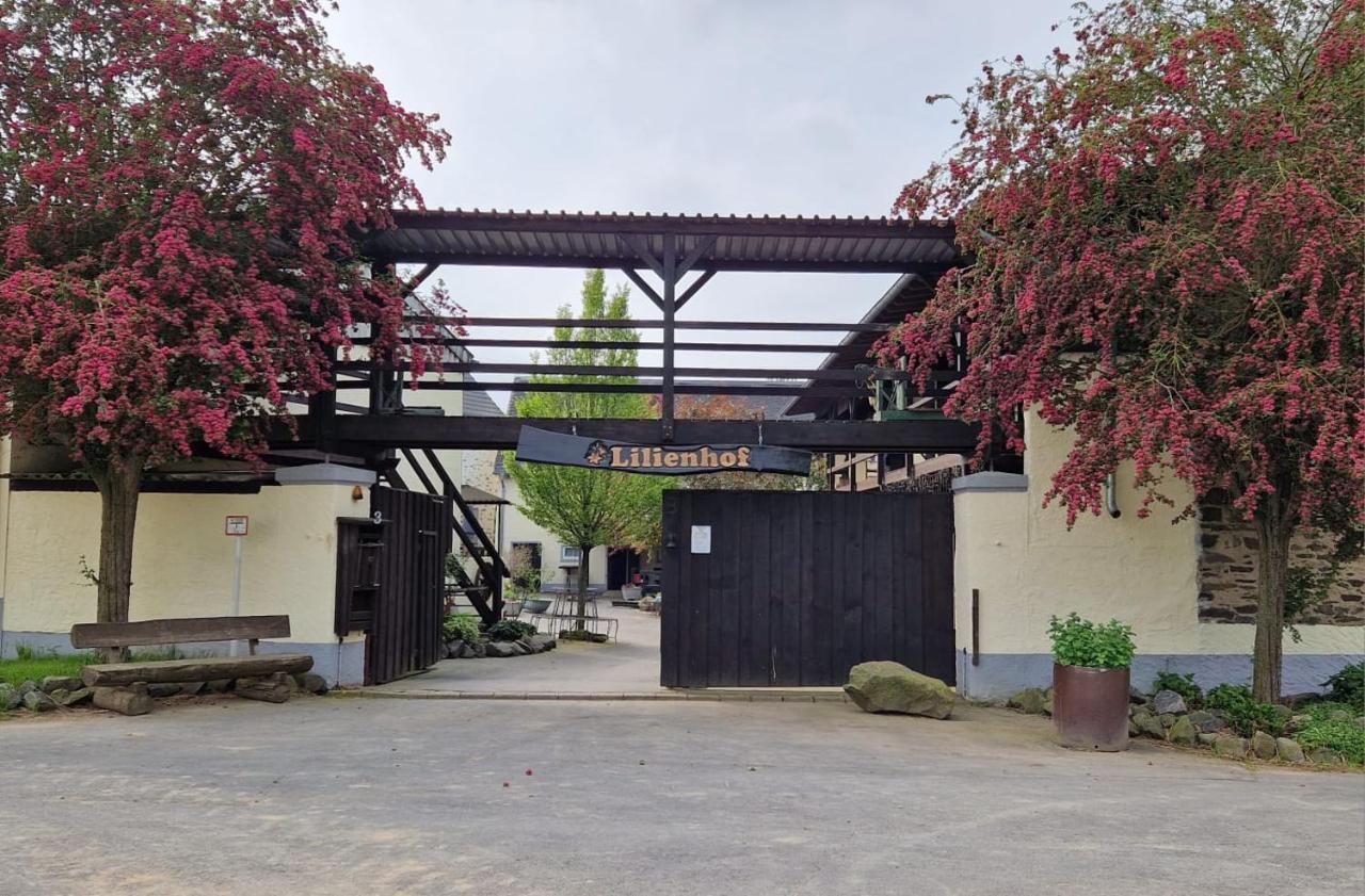 Besondere Ferienwohnung Spirit Auf Idyllischem Reiterhof Nahe Burg Eltz Munstermaifeld Экстерьер фото